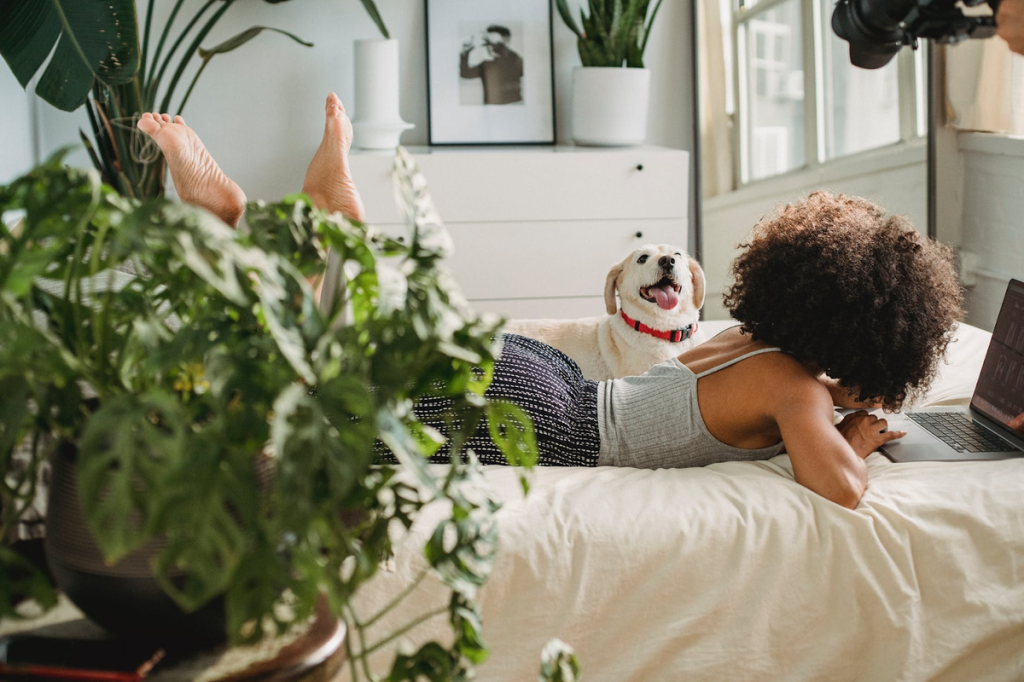 Фото: Pexels